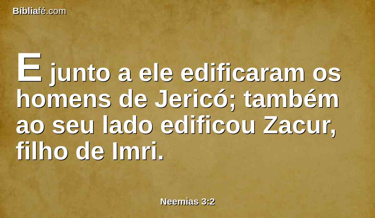 E junto a ele edificaram os homens de Jericó; também ao seu lado edificou Zacur, filho de Imri.