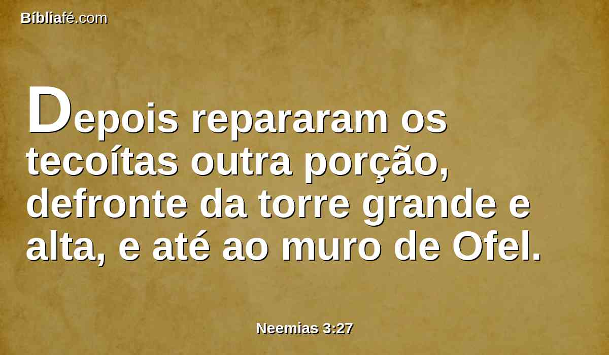 Depois repararam os tecoítas outra porção, defronte da torre grande e alta, e até ao muro de Ofel.