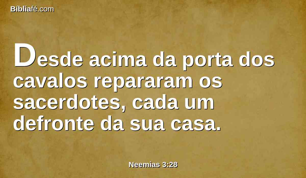 Desde acima da porta dos cavalos repararam os sacerdotes, cada um defronte da sua casa.