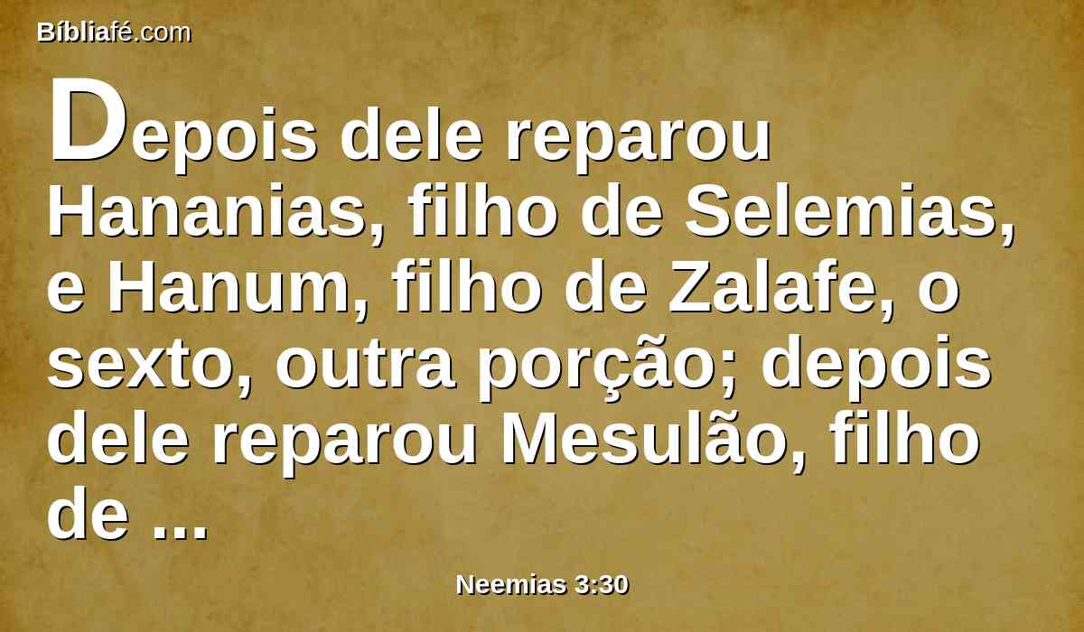 Depois dele reparou Hananias, filho de Selemias, e Hanum, filho de Zalafe, o sexto, outra porção; depois dele reparou Mesulão, filho de Berequias, defronte da sua câmara.