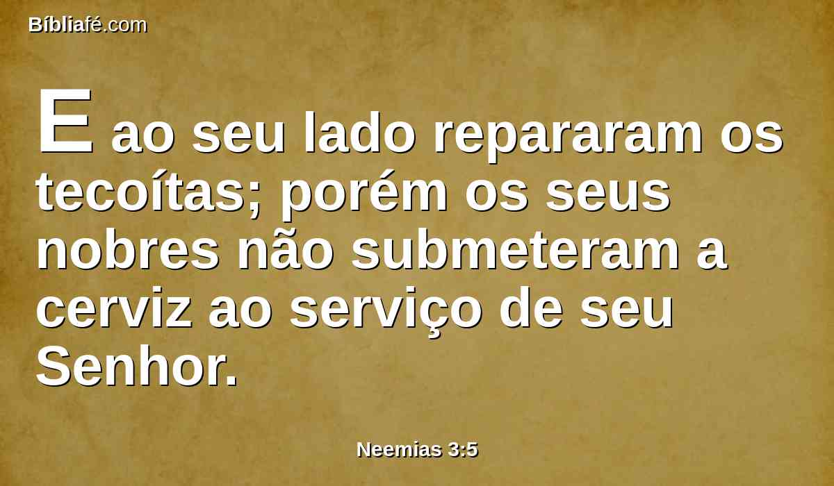 E ao seu lado repararam os tecoítas; porém os seus nobres não submeteram a cerviz ao serviço de seu Senhor.