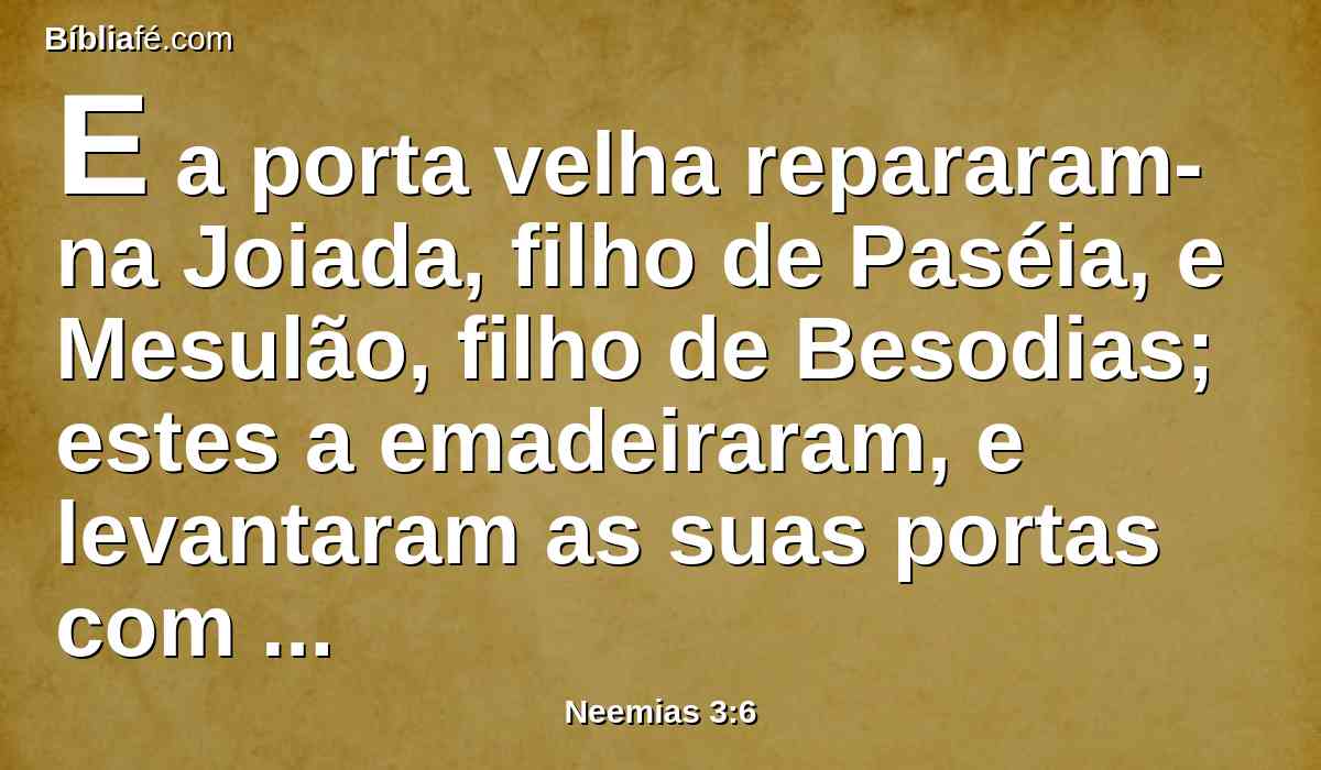 E a porta velha repararam-na Joiada, filho de Paséia, e Mesulão, filho de Besodias; estes a emadeiraram, e levantaram as suas portas com as suas fechaduras e os seus ferrolhos.