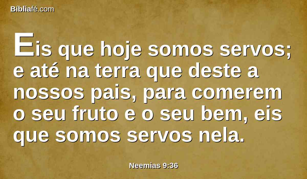 Eis que hoje somos servos; e até na terra que deste a nossos pais, para comerem o seu fruto e o seu bem, eis que somos servos nela.