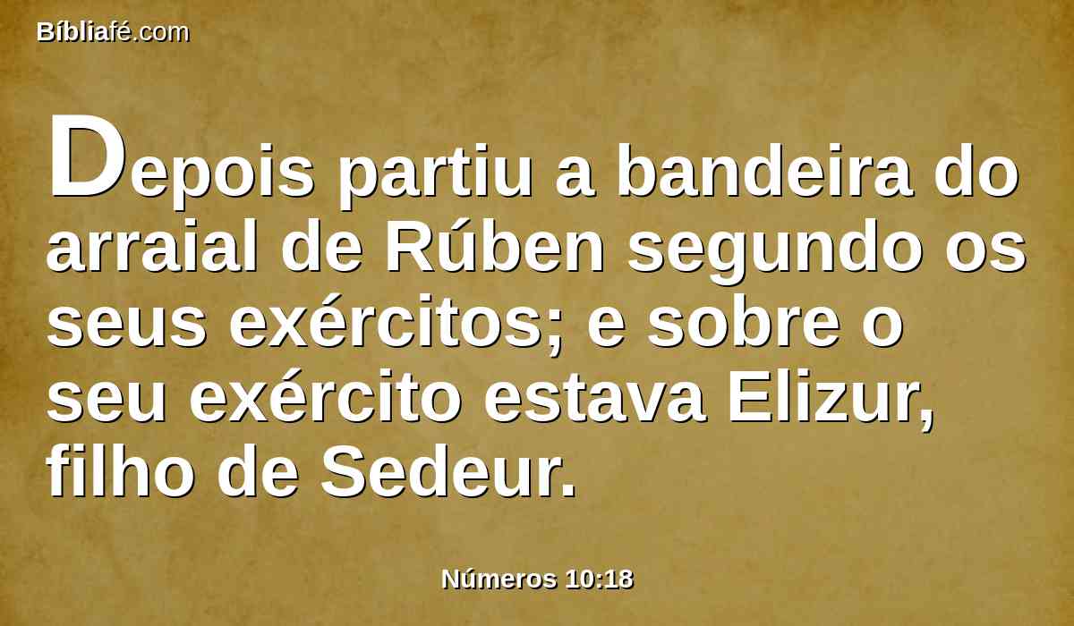 Depois partiu a bandeira do arraial de Rúben segundo os seus exércitos; e sobre o seu exército estava Elizur, filho de Sedeur.