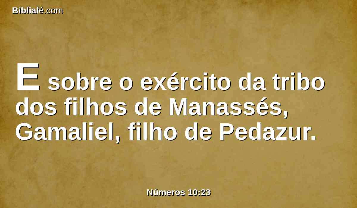 E sobre o exército da tribo dos filhos de Manassés, Gamaliel, filho de Pedazur.