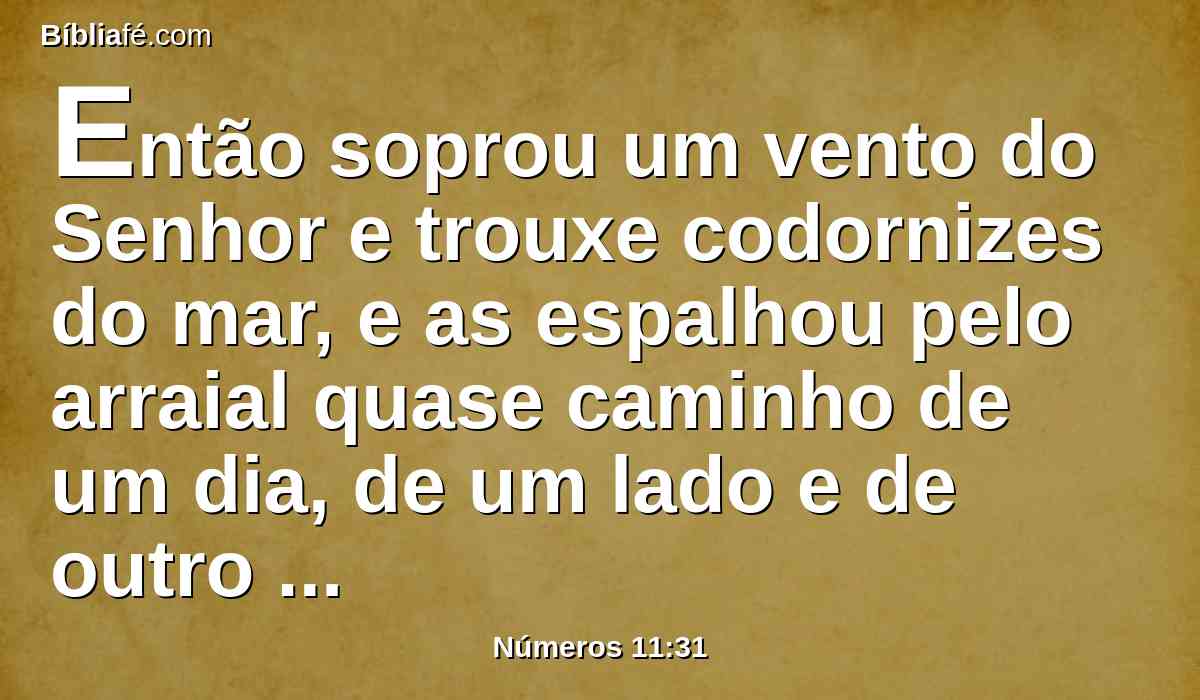 Então soprou um vento do Senhor e trouxe codornizes do mar, e as espalhou pelo arraial quase caminho de um dia, de um lado e de outro lado, ao redor do arraial; quase dois côvados sobre a terra.