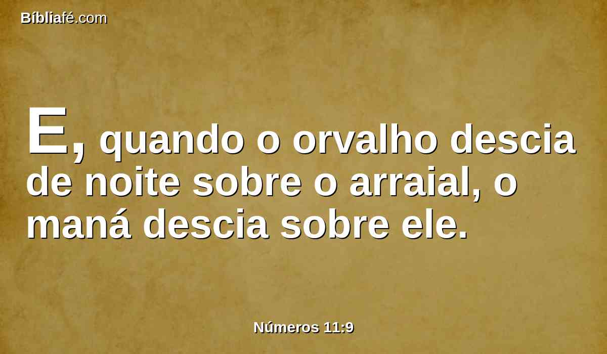 E, quando o orvalho descia de noite sobre o arraial, o maná descia sobre ele.