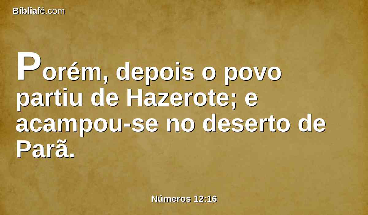 Porém, depois o povo partiu de Hazerote; e acampou-se no deserto de Parã.