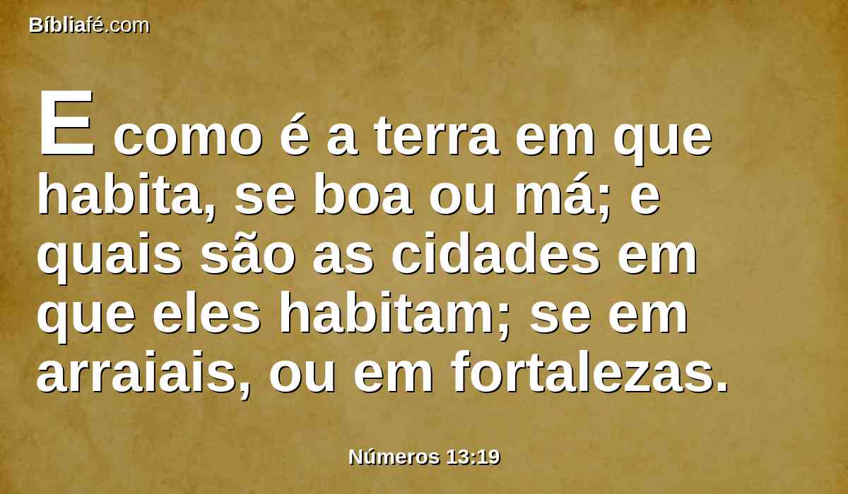 E como é a terra em que habita, se boa ou má; e quais são as cidades em que eles habitam; se em arraiais, ou em fortalezas.