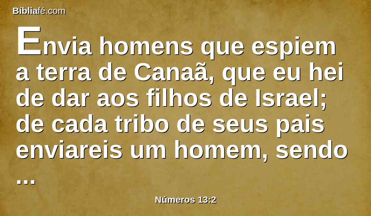 Envia homens que espiem a terra de Canaã, que eu hei de dar aos filhos de Israel; de cada tribo de seus pais enviareis um homem, sendo cada um príncipe entre eles.