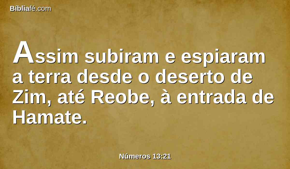 Assim subiram e espiaram a terra desde o deserto de Zim, até Reobe, à entrada de Hamate.