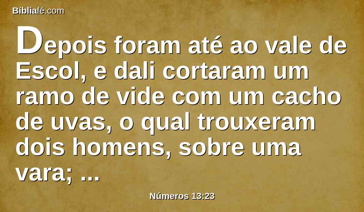 Depois foram até ao vale de Escol, e dali cortaram um ramo de vide com um cacho de uvas, o qual trouxeram dois homens, sobre uma vara; como também das romãs e dos figos.