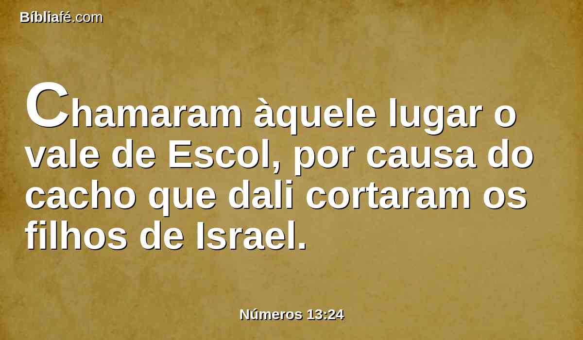 Chamaram àquele lugar o vale de Escol, por causa do cacho que dali cortaram os filhos de Israel.