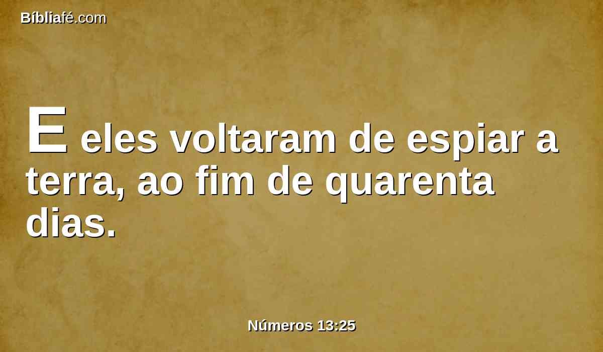 E eles voltaram de espiar a terra, ao fim de quarenta dias.