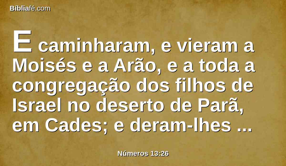 E caminharam, e vieram a Moisés e a Arão, e a toda a congregação dos filhos de Israel no deserto de Parã, em Cades; e deram-lhes notícias, a eles, e a toda a congregação, e mostraram-lhes o fruto da terra.