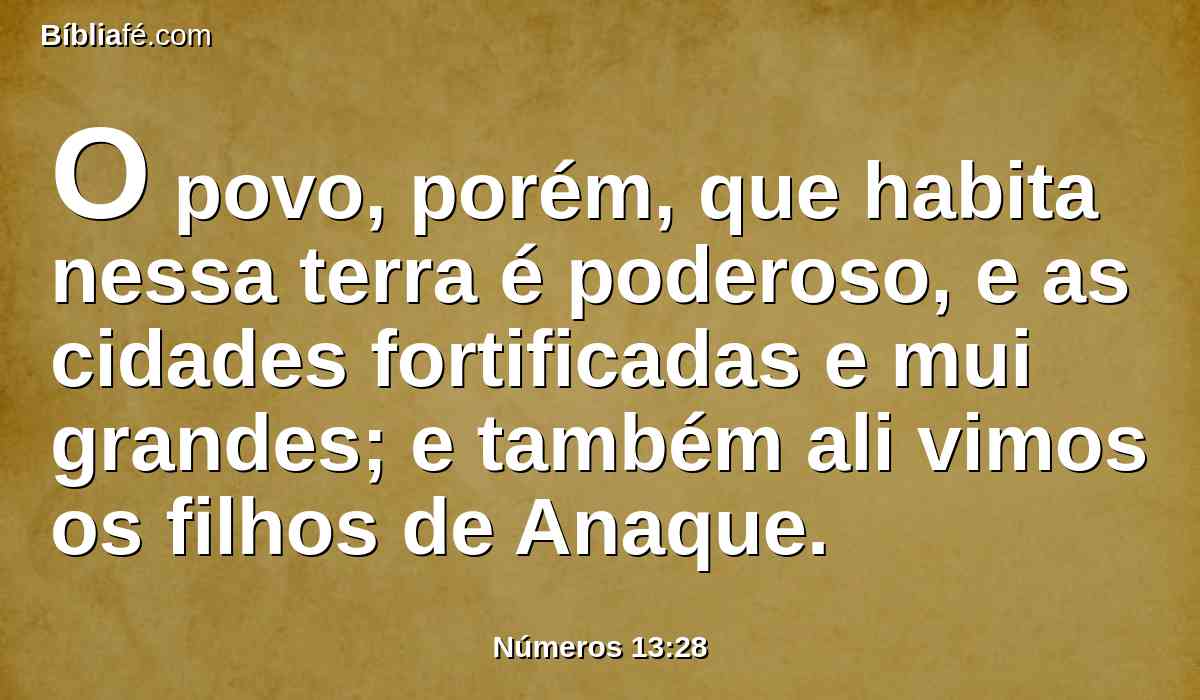 O povo, porém, que habita nessa terra é poderoso, e as cidades fortificadas e mui grandes; e também ali vimos os filhos de Anaque.