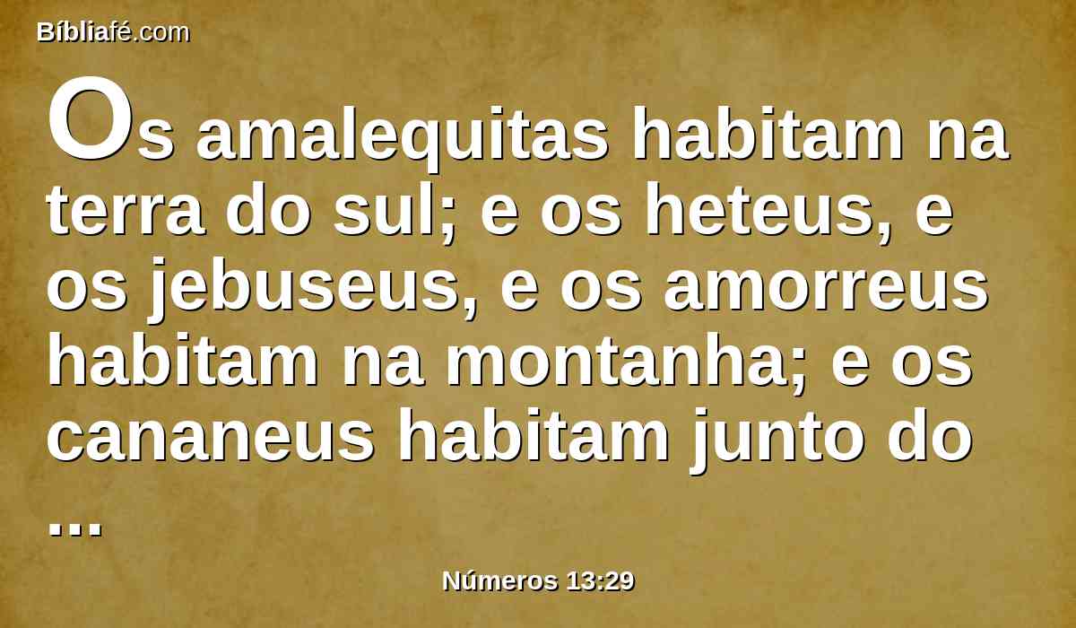 Os amalequitas habitam na terra do sul; e os heteus, e os jebuseus, e os amorreus habitam na montanha; e os cananeus habitam junto do mar, e pela margem do Jordão.