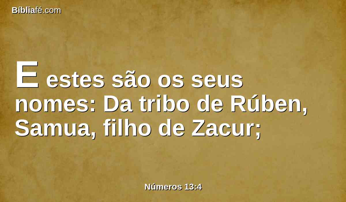 E estes são os seus nomes: Da tribo de Rúben, Samua, filho de Zacur;