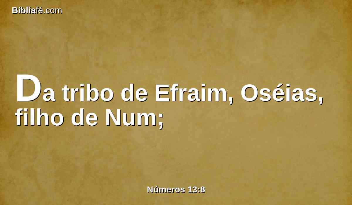 Da tribo de Efraim, Oséias, filho de Num;