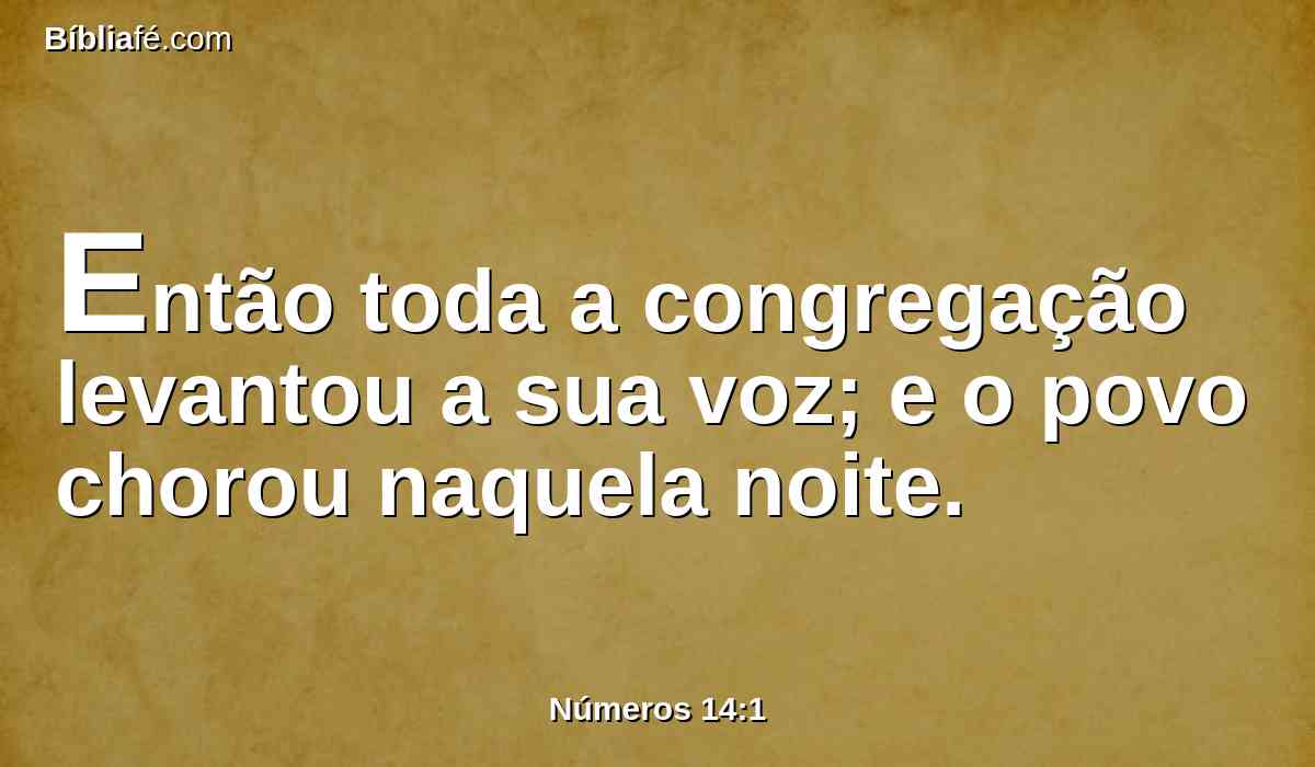 Então toda a congregação levantou a sua voz; e o povo chorou naquela noite.