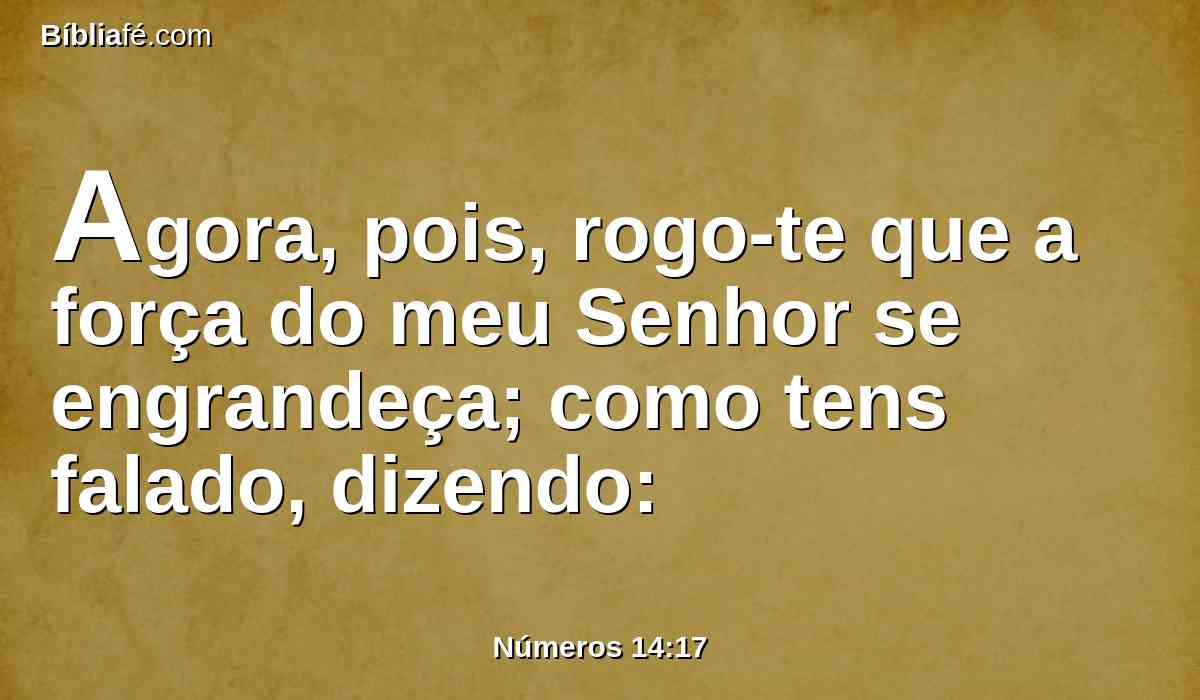 Agora, pois, rogo-te que a força do meu Senhor se engrandeça; como tens falado, dizendo: