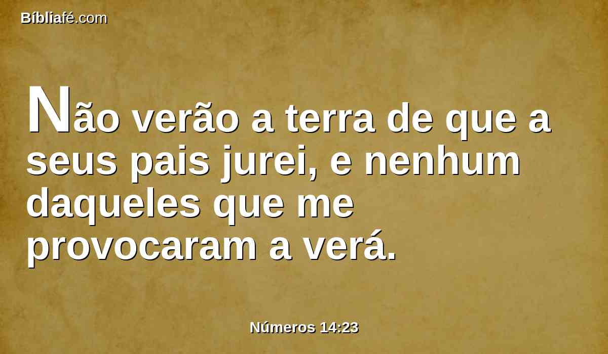 Não verão a terra de que a seus pais jurei, e nenhum daqueles que me provocaram a verá.