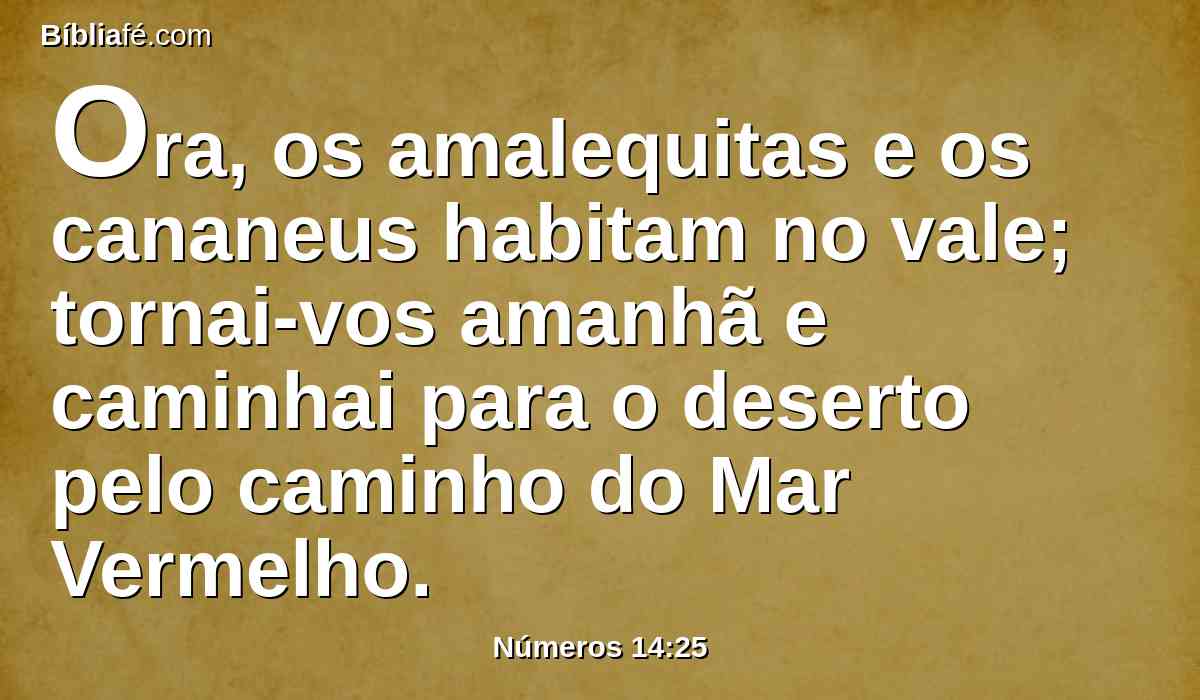 Ora, os amalequitas e os cananeus habitam no vale; tornai-vos amanhã e caminhai para o deserto pelo caminho do Mar Vermelho.