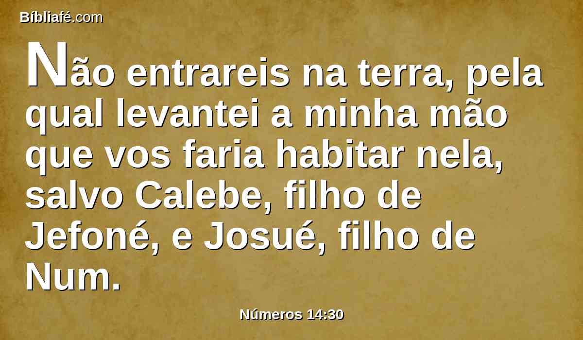 Não entrareis na terra, pela qual levantei a minha mão que vos faria habitar nela, salvo Calebe, filho de Jefoné, e Josué, filho de Num.