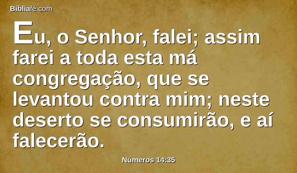 Eu, o Senhor, falei; assim farei a toda esta má congregação, que se levantou contra mim; neste deserto se consumirão, e aí falecerão.