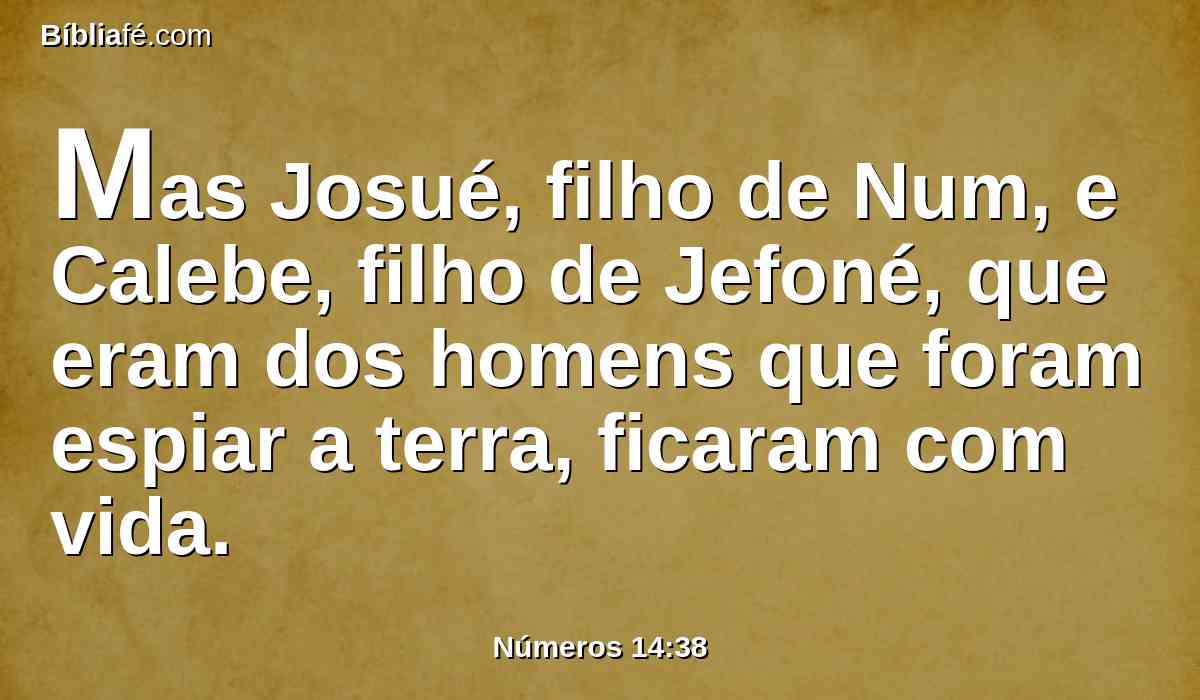 Mas Josué, filho de Num, e Calebe, filho de Jefoné, que eram dos homens que foram espiar a terra, ficaram com vida.