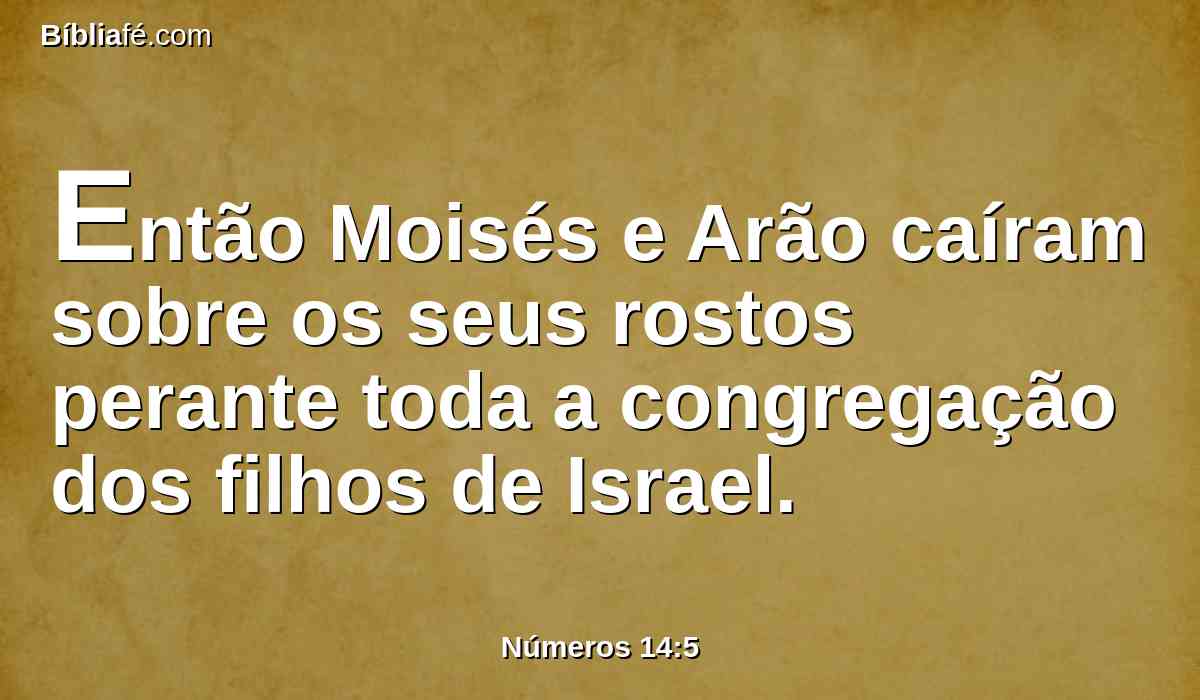 Então Moisés e Arão caíram sobre os seus rostos perante toda a congregação dos filhos de Israel.