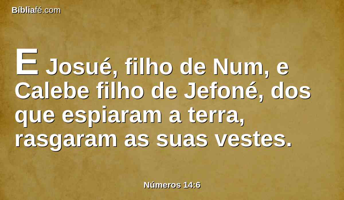 E Josué, filho de Num, e Calebe filho de Jefoné, dos que espiaram a terra, rasgaram as suas vestes.