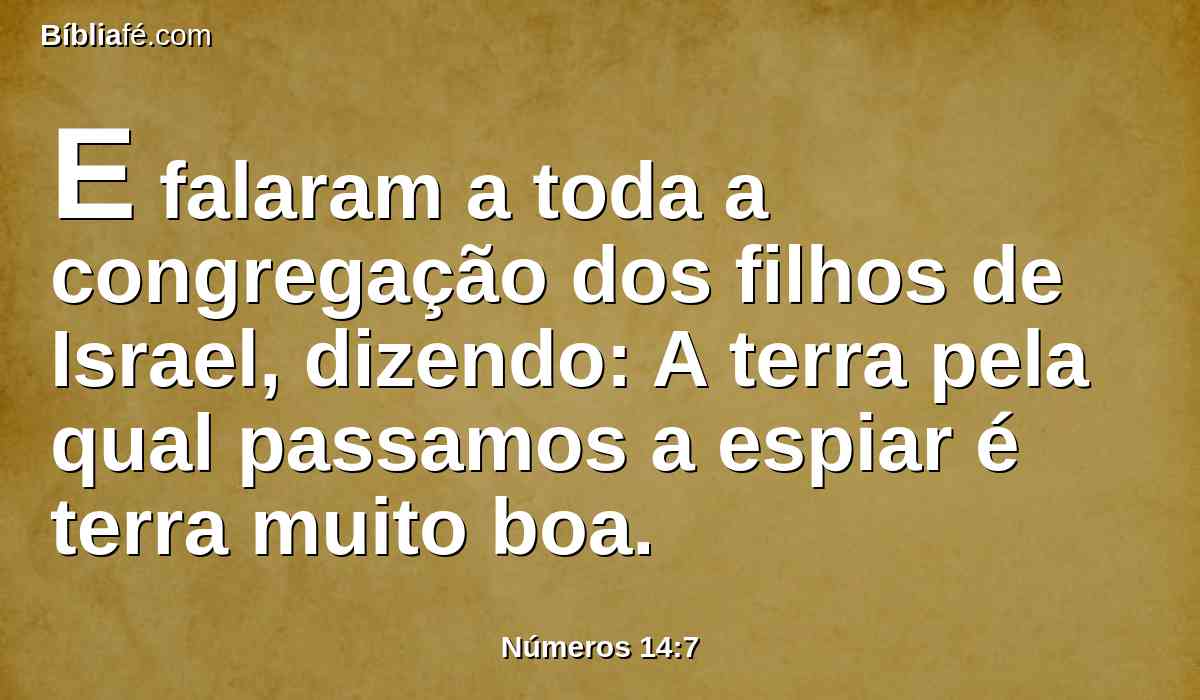 E falaram a toda a congregação dos filhos de Israel, dizendo: A terra pela qual passamos a espiar é terra muito boa.