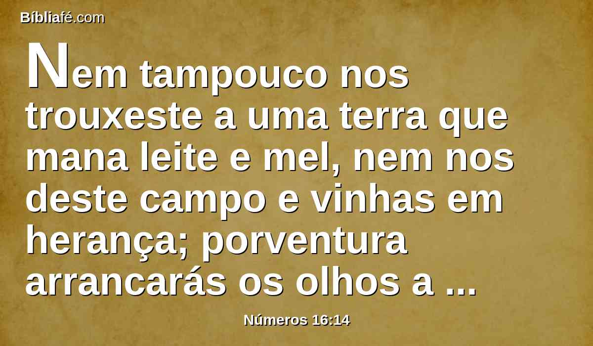 Nem tampouco nos trouxeste a uma terra que mana leite e mel, nem nos deste campo e vinhas em herança; porventura arrancarás os olhos a estes homens? Não subiremos.