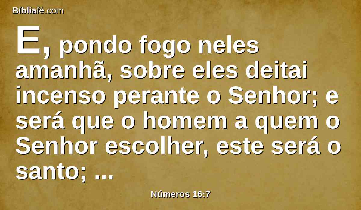 E, pondo fogo neles amanhã, sobre eles deitai incenso perante o Senhor; e será que o homem a quem o Senhor escolher, este será o santo; basta-vos, filhos de Levi.