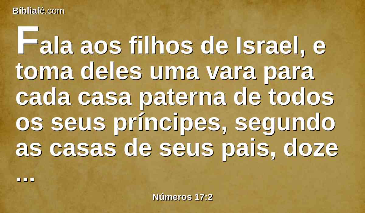 Fala aos filhos de Israel, e toma deles uma vara para cada casa paterna de todos os seus príncipes, segundo as casas de seus pais, doze varas; e escreverás o nome de cada um sobre a sua vara.