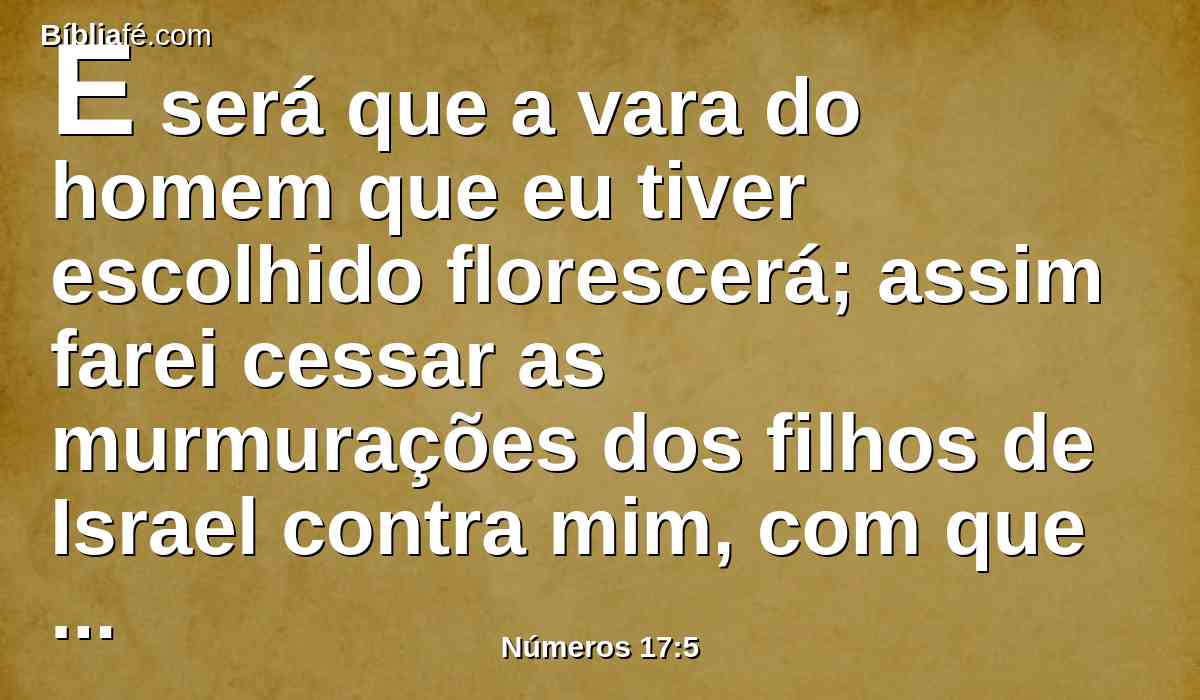 E será que a vara do homem que eu tiver escolhido florescerá; assim farei cessar as murmurações dos filhos de Israel contra mim, com que murmuram contra vós.