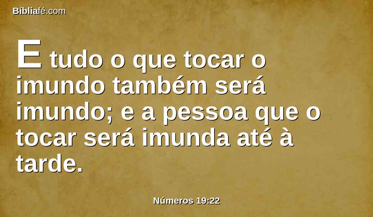 E tudo o que tocar o imundo também será imundo; e a pessoa que o tocar será imunda até à tarde.