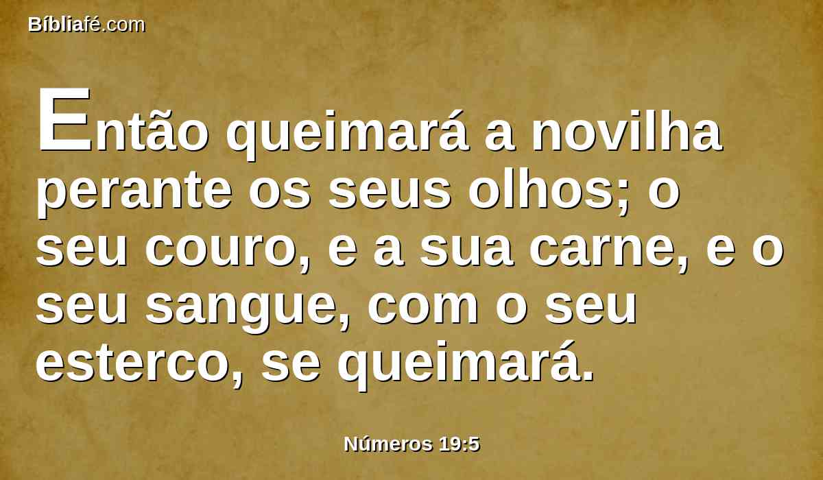 Então queimará a novilha perante os seus olhos; o seu couro, e a sua carne, e o seu sangue, com o seu esterco, se queimará.