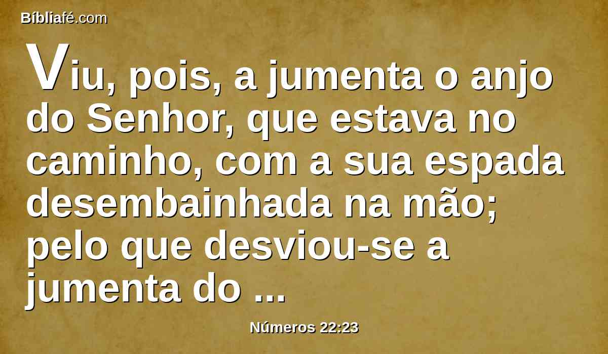 Viu, pois, a jumenta o anjo do Senhor, que estava no caminho, com a sua espada desembainhada na mão; pelo que desviou-se a jumenta do caminho, indo pelo campo; então Balaão espancou a jumenta para fazê-la tornar ao caminho.