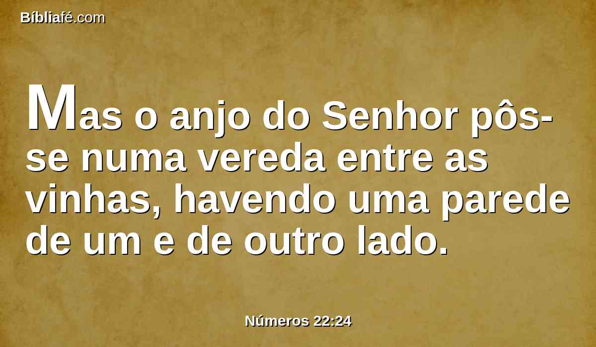 Mas o anjo do Senhor pôs-se numa vereda entre as vinhas, havendo uma parede de um e de outro lado.