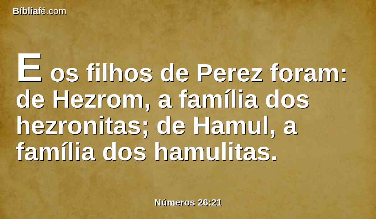 E os filhos de Perez foram: de Hezrom, a família dos hezronitas; de Hamul, a família dos hamulitas.