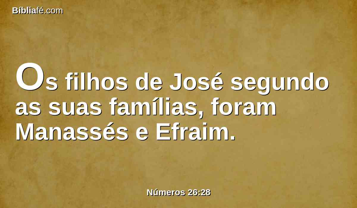 Os filhos de José segundo as suas famílias, foram Manassés e Efraim.