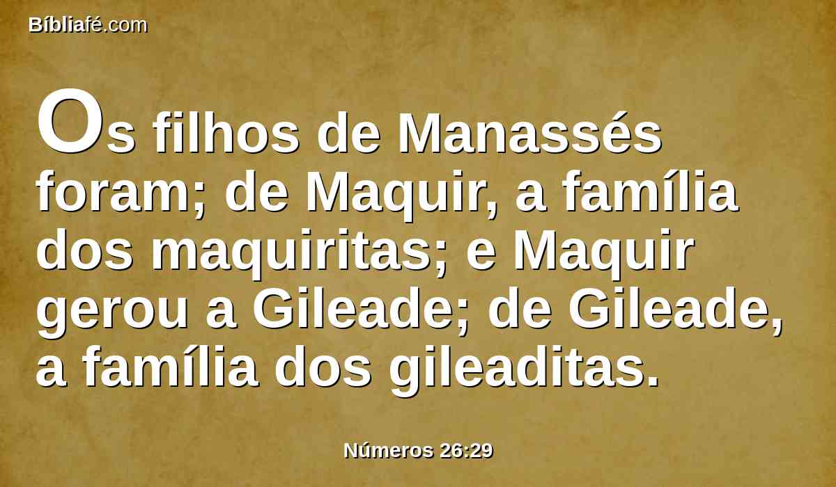 Os filhos de Manassés foram; de Maquir, a família dos maquiritas; e Maquir gerou a Gileade; de Gileade, a família dos gileaditas.