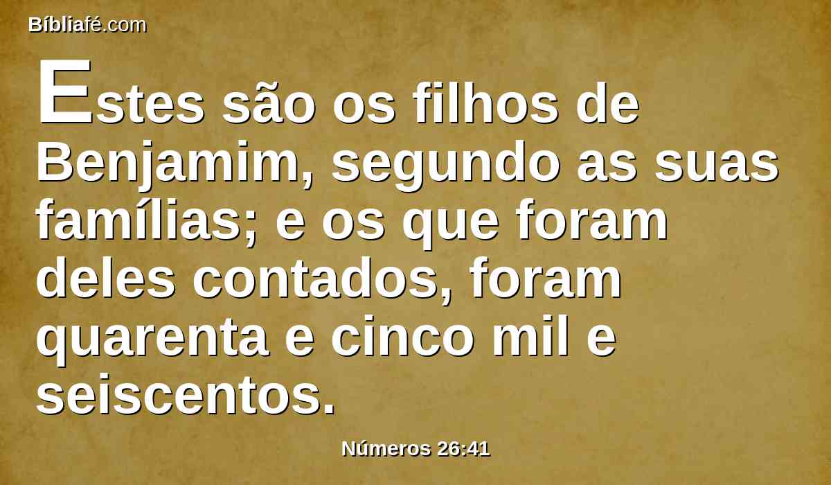 Estes são os filhos de Benjamim, segundo as suas famílias; e os que foram deles contados, foram quarenta e cinco mil e seiscentos.