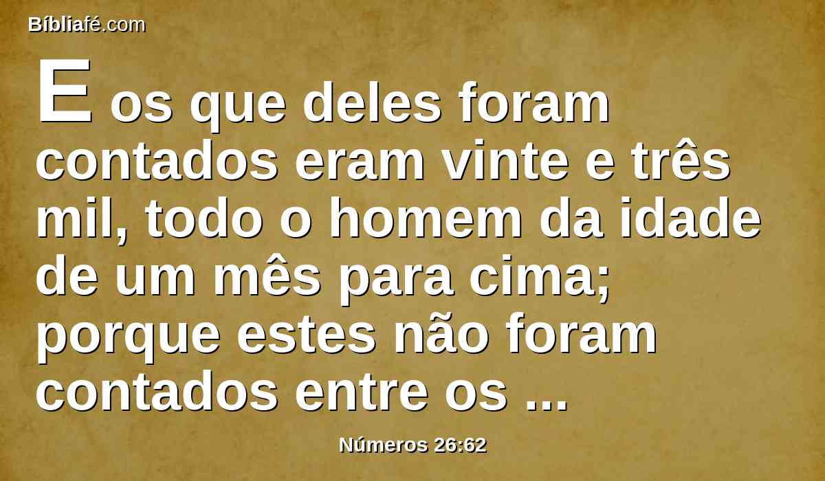 E os que deles foram contados eram vinte e três mil, todo o homem da idade de um mês para cima; porque estes não foram contados entre os filhos de Israel, porquanto não lhes foi dada herança entre os filhos de Israel.