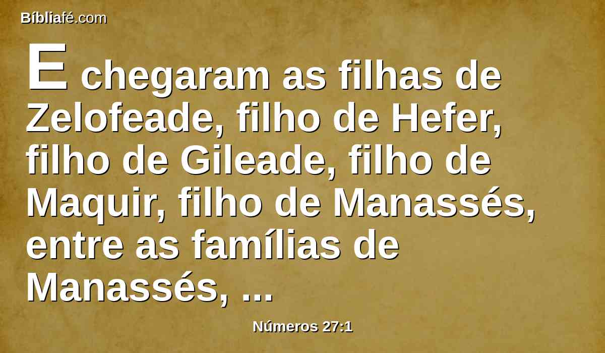 E chegaram as filhas de Zelofeade, filho de Hefer, filho de Gileade, filho de Maquir, filho de Manassés, entre as famílias de Manassés, filho de José; e estes são os nomes delas; Maalá, Noa, Hogla, Milca, e Tirza;