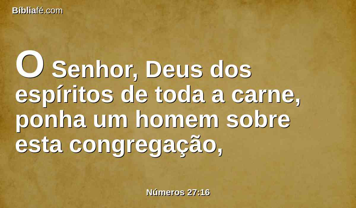 O Senhor, Deus dos espíritos de toda a carne, ponha um homem sobre esta congregação,