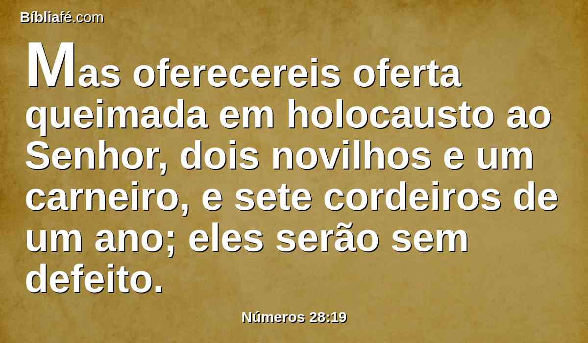 Mas oferecereis oferta queimada em holocausto ao Senhor, dois novilhos e um carneiro, e sete cordeiros de um ano; eles serão sem defeito.