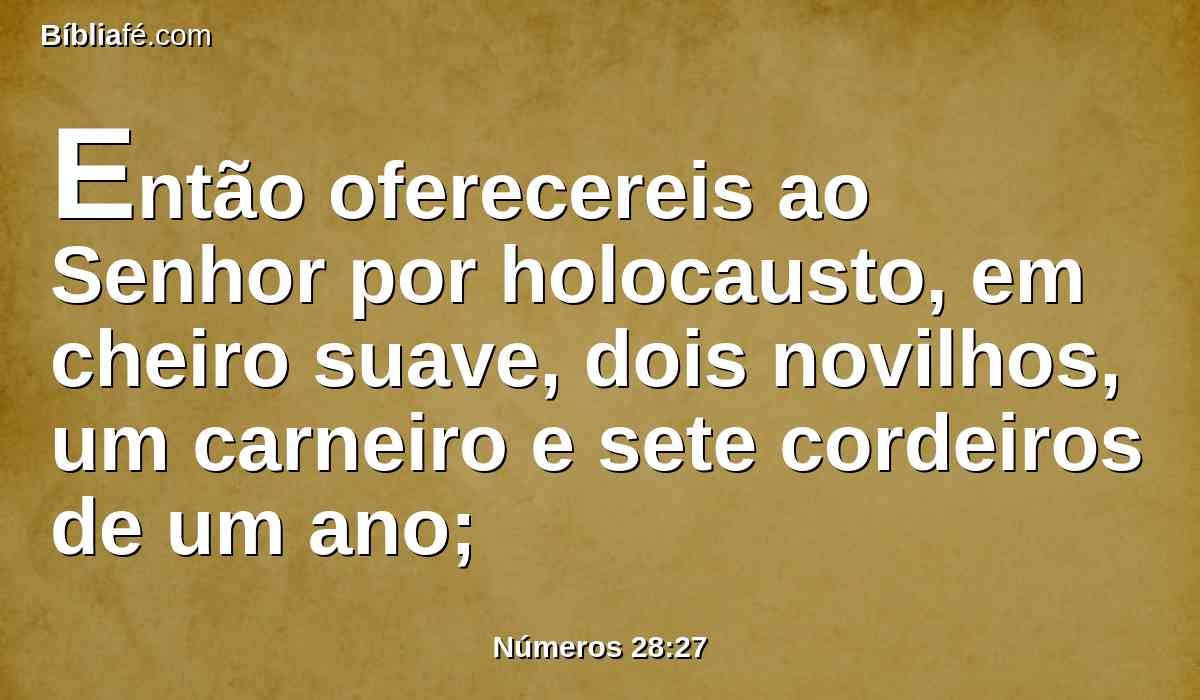 Então oferecereis ao Senhor por holocausto, em cheiro suave, dois novilhos, um carneiro e sete cordeiros de um ano;